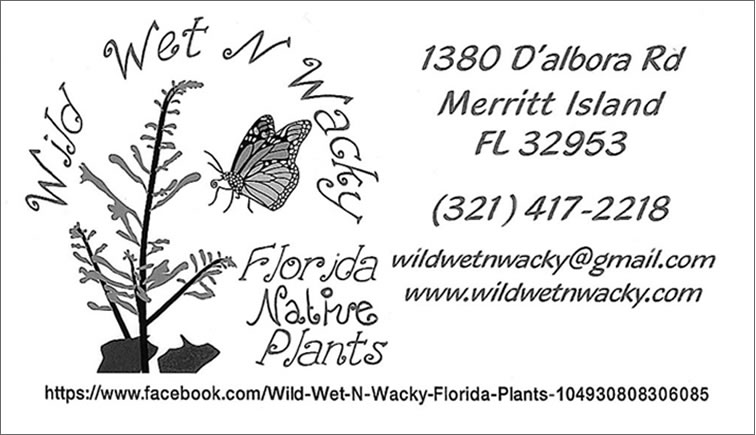 Wild Wet N Wacky Florida Native Plants