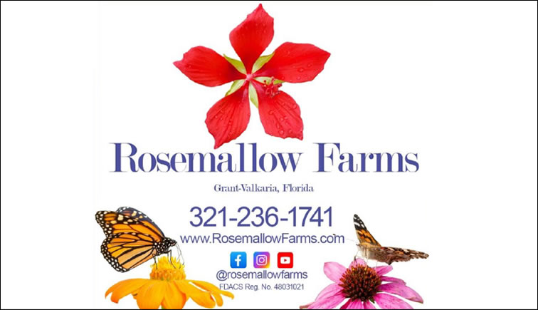 Rosemallow Farms