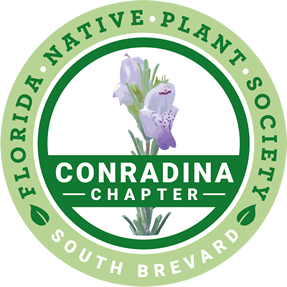 Conradina Chapter FNPS